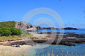 Isla Isabel off MexicoÃ¢â¬â¢s Riviera Nayarit coast. photo